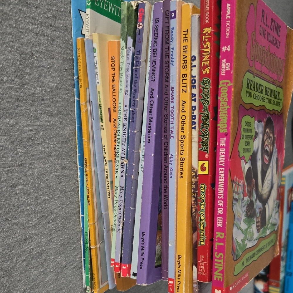 Scholastic Kids 18 Learning Books - Multicolor
